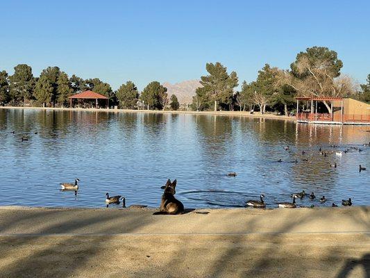 Day at the pond training