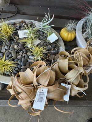 Armstrong Garden Centers