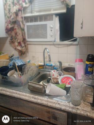 Refined Spaces Interior Cleaning and Organizing