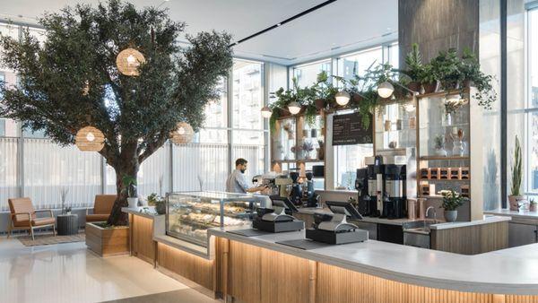 Minneapolis Cafe - Bar Front Tambour Installation! Warmth and Friendliness! #woodwallpanels #tambour #flexiblewoodpanels #woodpaneling