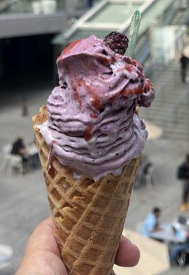 New Zealand style ice cream