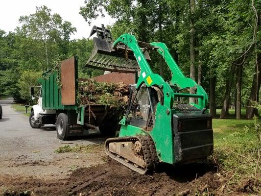 Solar Landscaping & Tree Service