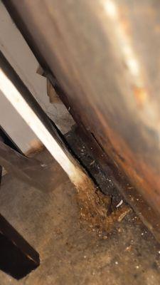 The Terrace Apartments