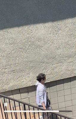 Ideal Property and Realty