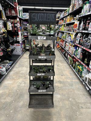 Chamblee Ace Hardware