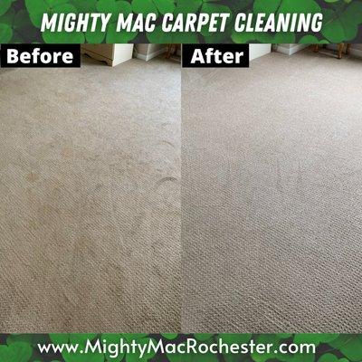 Mighty Mac Carpet Cleaning in Rochester NY. Visit our website: mightymacrochester.com or Call (585) 514-5150 for a free quote