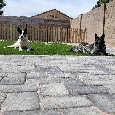 Brothers Gonzalez Landscaping