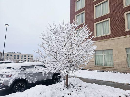 Drury Inn & Suites Colorado Springs Near The Air Force Academy