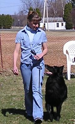 Abundant Life Dog Training