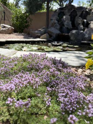 Antonio' s Tree Service