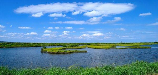 Broad Creek Real Estate