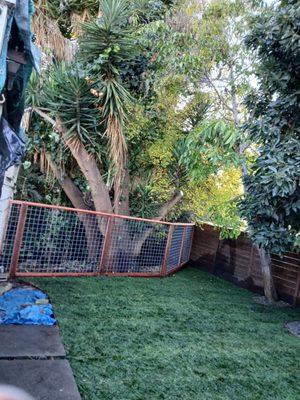 GreenHands & CleanHands