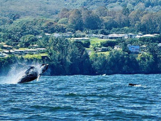Hilo Ocean Adventures