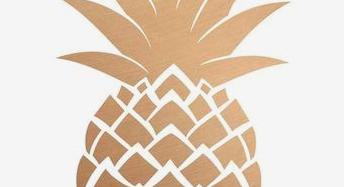 Pineapple Palm Staging & Design