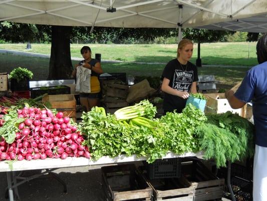 Farmers Market Program