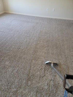 Arabella Carpet Solution