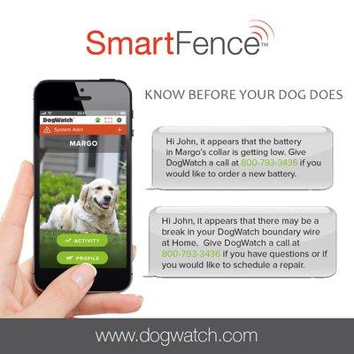 The only connected hidden fence. Smart products for today's pets.