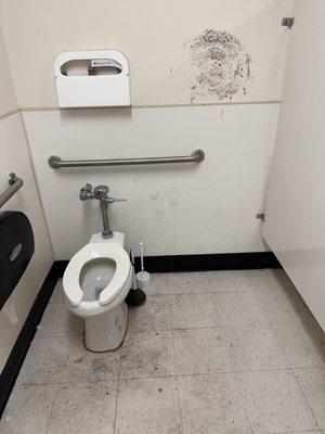 Handicap bathroom stall