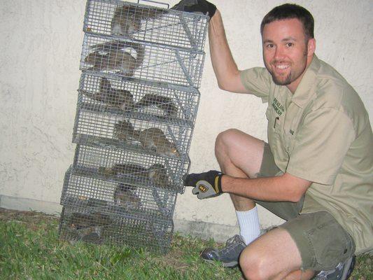 Pest Animal Saint Paul