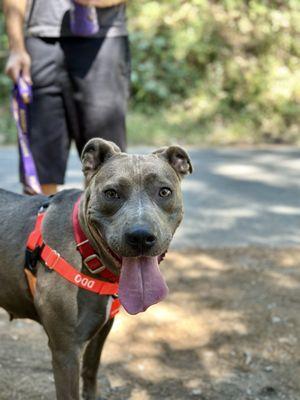 Placer County Animal Service Center