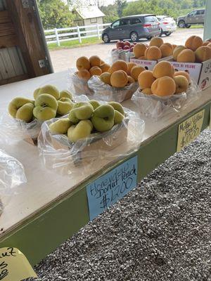 Kingsbury's Orchard