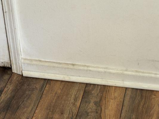 Sparkle & Shine Cleaning