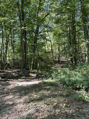 Turkey Mountain Preserve