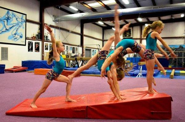 Hampshire Gymnastics School