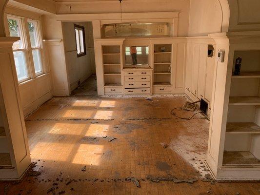 House clean out with carpet removal and padding