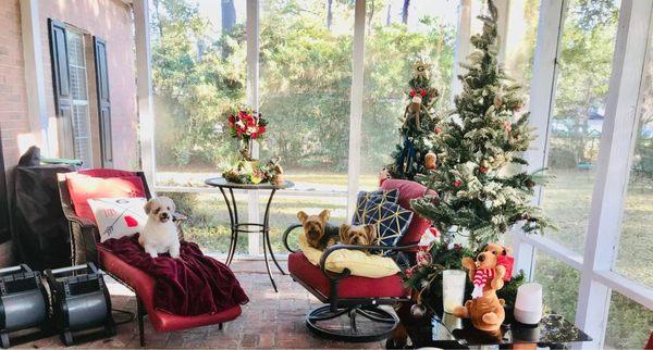 Lake Park Veterinary Clinic