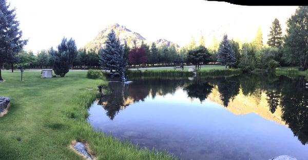 Lovely pond on the property