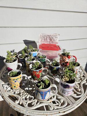 Cambria Historical Museum