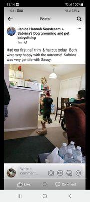 Sabrina's Dog Grooming And Pet Babysitting