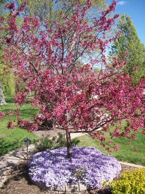 M J Swanson Contracting, Inc.