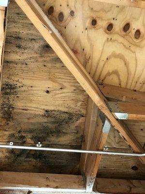 A2Z Construction Contractors