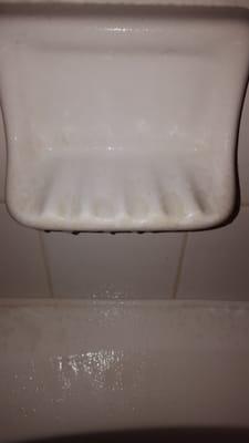 Shower soap holder upon move in