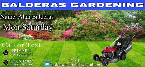 Balderas Gardening