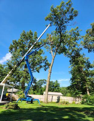 AAA Tree & Excavating