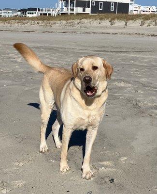 At the beach DEC 2024