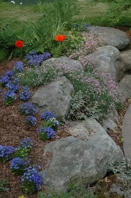 Rock Garden Bucks County, PA