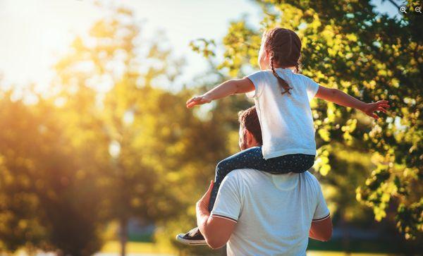 American Tree Service Unlimited