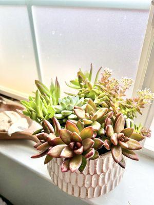 Loose Leaf | Florist