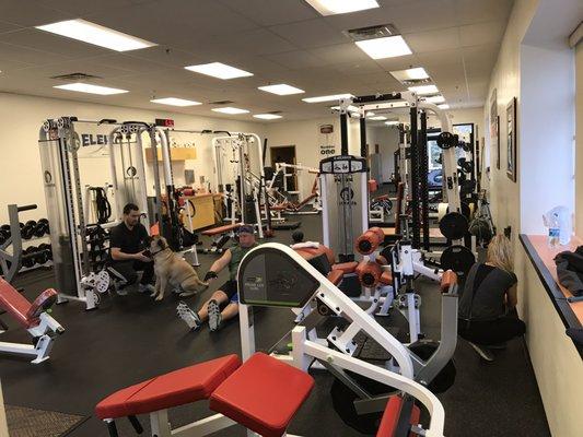 Peak Health & Performance