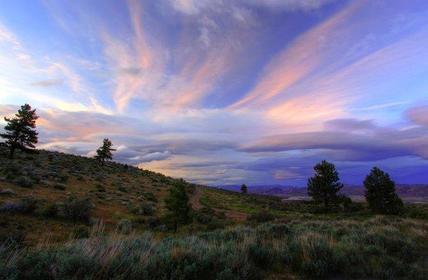 Courtesy of Dotty Molt Photograph