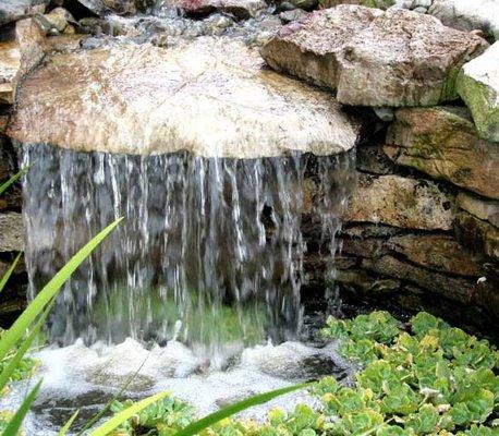 Plant A Plant Landscape Company