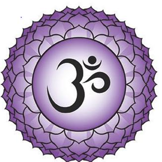 Life Is Bliss Yoga