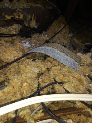 Just one of the many roofing shingles left in my attic