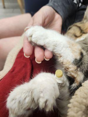 Moreno Valley Animal Services