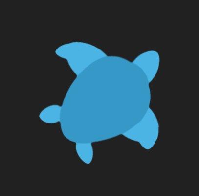 Lucky Turtle Solutions