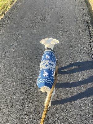 Silver Creek Township Park